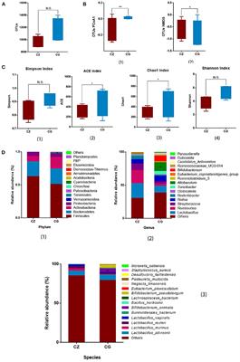 Hypertension of liver-yang hyperactivity syndrome induced by a high salt diet by altering components of the gut microbiota associated with the glutamate/GABA-glutamine cycle